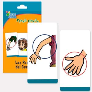 FLASHCARDS PARTES DEL CUERPO